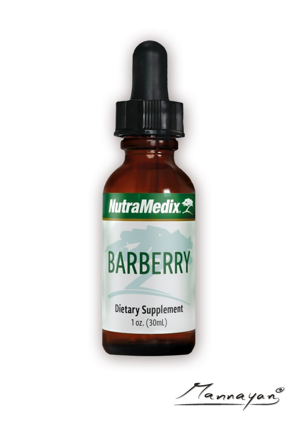Barberry Barberry, Flüssigextrakt von Nutramedix